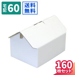 _{[ 60TCY nEX^ 160  (212×168×100`115) i{[ 60 _{[ i{[ z60  p    z 60TCY  킢  ƌ^ ^ }g