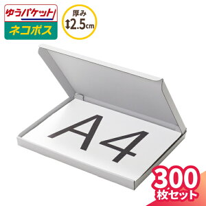 A4 lR|X  2.5cm 10`300  (297×215×22) 䂤pPbgENbN|XgΉ _{[ A4TCY ^ i{[ _{[ i{[ 䂤[    [