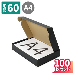  _{[ 60TCY A4 10`100 (305×215×55) ^_{[ i{[ 60 z60 _{[  i{[ p    z }g } }g^A 䂤pbN 