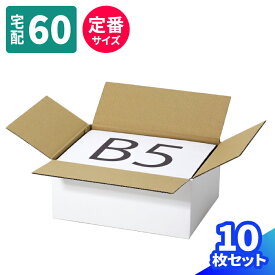 ダンボール 60サイズ 10枚 白 (264×194×114) B5サイズ 段ボール 60 ダンボール箱 段ボール箱 宅配60 箱 梱包用 梱包資材 梱包材 梱包 箱 宅配箱 ヤマト 宅急便 ヤマト運輸 ゆうパック 佐川 宅配 小さい 収納 B5 小型 発送箱 白箱 ギフト 発送 クロネコボックス6 (0241)