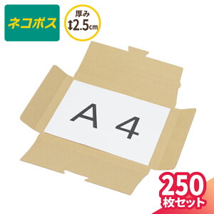 lR|X _{[ A4 250 (307×223×20) lR|X  60TCY i{[ A4TCY _{[ i{[ 䂤pPbg NbN|Xg 䂤[     z [