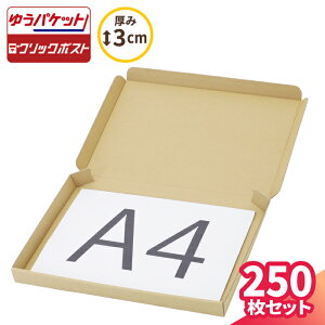 �䂤�p�P�b�g �N���b�N�|�X�g �� A4 ����3cm 250�� (319×227×25) �l�R�|�X �N���l�R�䂤�p�P�b�g �䂤�p�P�b�g �_���{�[�� �i�{�[�� �_���{�[���� �i�{�[���� ��`�O �n���h���C�h ���� ����� 