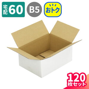 _{[ 60TCY 120  N[֑Ή (264×194×114) i{[ 60 _{[ N[ i{[ z60  p     z }g } }g^A 䂤pbN