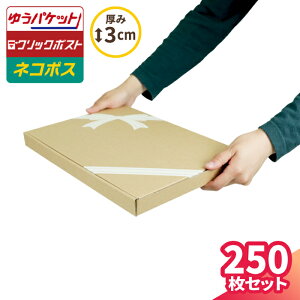 䂤pPbg  A4 3cm 250 (319×227×27) 䂤pPbg _{[ NbN|Xg  킢 i{[ ^ _{[ i{[   [ `O ^ fUC 