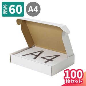 _{[ 60TCY A4 100 (305×215×55) ^_{[ i{[ 60 z60 _{[     z }g } 䂤pbN  z ^ [ ߗ  J 