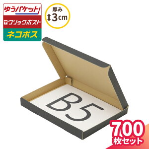 B5 3cm _{[ 䂤pPbg  700  (267×192×25) _{[ i{[ _{[ i{[ NbN|Xg `O    B5 ^  ^  J m