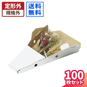 t[{bNX _{[ 60TCY 100 (300×200×60`72)   _{[ ԑ _{[ i{[ p  u[P  |Xg  Ԕ t[ {bNX hCt