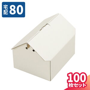 _{[ 80TCY nEX^ 10`100 (281×231×130`165) i{[ 80 _{[ i{[ z60     z }g }  䂤pbN Mtg 킢 [ 