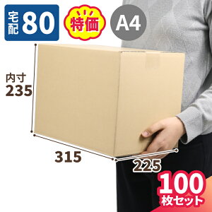 _{[ 80TCY 100 L (315×225×235) A4 _{[ 80 i{[ _{[ i{[ p    z80  A4TCY z }g } }g^A 䂤pb