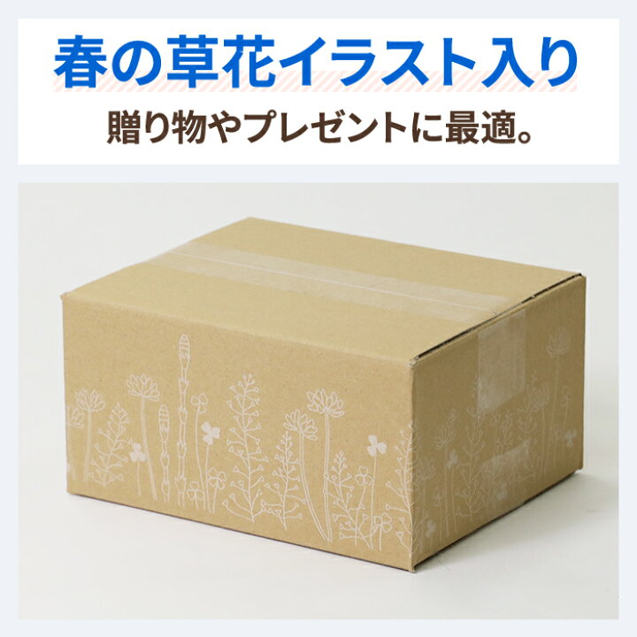 楽天市場 デザイン ダンボール 80サイズ 10枚 317 224 144 ダンボール かわいい 段ボール 80 印刷入 箱 宅配80 ダンボール箱 段ボール箱 梱包用 梱包資材 梱包材 梱包 宅配箱 ヤマト運輸 ボックス おしゃれ 花柄 ギフト プレゼント 衣類 収納 食品 発送箱 花さんぽ
