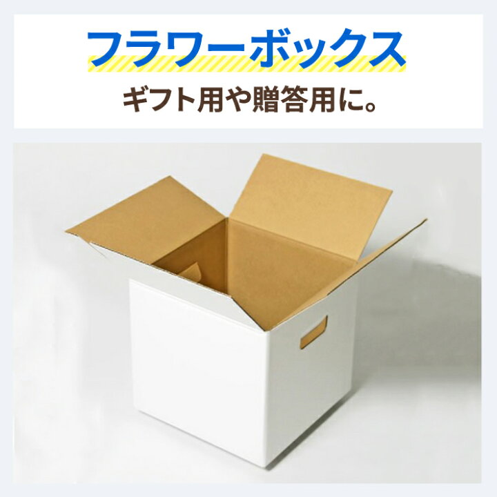 フラワーボックス ダンボール 80サイズ 30枚 (267×267×244) 花 梱包 ダンボール 80 段ボール 花束 ダンボール箱 段ボール箱 梱包用 梱包資材 ブーケ 梱包 箱 宅配箱 宅配 花箱 フラワーBOX ボックス 収納 フラワーアレンジメント ギフト プレゼント 母の日(0075 ... フラワーBOX F500×50枚 パック 宅配80サイズ 一部除き送料無料