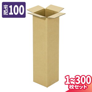 ダンボール 100サイズ」の人気商品一覧・価格比較 - 価格.com