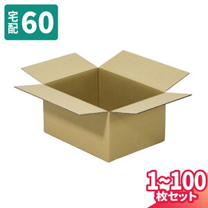 �_���{�[�� 60�T�C�Y 1���`100�� (220×180×140) ��z60�T�C�Y �i�{�[�� �i�{�[���� ����� ����� ���� �� ��z�� ���}�g ��}�� ���}�g�^�A �䂤�p�b�N ���� ��z (8310)