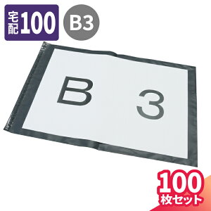 zrj[ 100 (550×410mm) B3TCY z Ȃ B3 e[vt z100TCY J  ߗ h hrj[ } z    h O[ (1226)