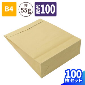 z 100TCY  B4  100 (420×320mm) zp Ntg  p    B4TCY z100 100TCY ߗ  Jo obN 傫 }`t e[vt (2742)