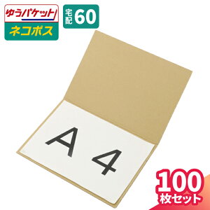 60TCY _{[ A4 10`100 (310×220×1) _{[V[g A4TCY [֑Ή 2 i{[ ^ 䂤pPbg NbN|Xg ܂h~    _{[pbh 