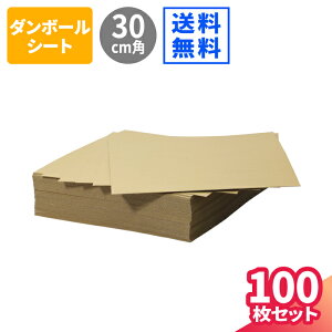 _{[V[g 100 (300×300×1.5) _{[ i{[ ` ^   _{[A[g _{[pbh y[p[Ntg _{[H _{[i ɏՍ 䎆 