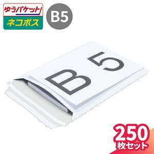 [֑Ή  B5  250(1) A (225×290mm) NbN|Xg 䂤pPbg  B5TCY `OX Ki ʔ p   [ `O ^  ^  