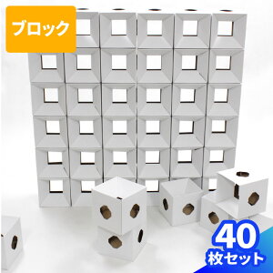 _{[ ubN d؂ 40 i{[  Cxg ubN p[eBV m CDP[X CD [ IuWFNg ubNPOP{bNX (0132)