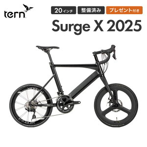 Tern ^[ ] ~jx Surge X T[W JC 2025Nf 20C` 451zC[ 22iϑ 9.7kg GAt[ t[TCY 520 a XΉi _t v[gt h