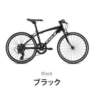 Fuji tW ] q qp LbY X|[coCN ACE20 G[X20 2025Nf V}m 7iϑ hƓo^ ς Iׂv[gt eiXX^ht ^ԑ̔z