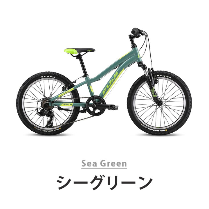 楽天市場】Fuji フジ DYNAMITE 20 ダイナマイト20 自転車 子供用 