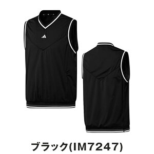 y30%OFFzadidas AfB_X Y StEFA xXg  TChWbvt E[uxXg JSC15 24FW H~ Xgb` @\ ėp X|[eB[ |GXe ubN zCg