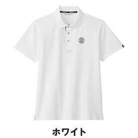 【セール 20%OFF】 and per se アンパスィ メンズ ゴルフウェア シャツ スイングドライ 半袖ポロシャツ AMS9705V1 25SS 春夏 アンパシー 鹿の子 べたつき軽減 マルチストレッチ 吸汗速乾 UVカット おしゃれ 人気 シンプル