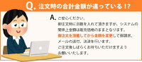 Bee-Fi延長【レンタル】【501HW601HWレンタルwi-fi延長申込専用ページwifi】日本国内用