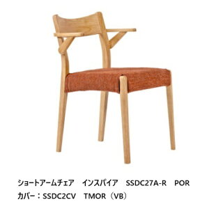 Y V[gA[`FACXpCA DC27A-Ro[EbhʁFPVC/BRʔpJo[LPUhE2FΉFPOR/PWR(֑O܂)AkCA͏