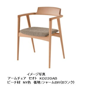 yJݒuz10NۏؔˎYƐ A[`FA  SEOTO (ZIg)KD220AB ށFr[`ރ|E^h󒍐Y [30`45Jݒu kCEE͏