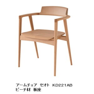 yJݒu/p[gi[Vbvz10NۏؔˎYƐ A[`FA SEOTO (ZIg)KD221AB ށFr[`ރ|E^h󒍐Y [30`45Jݒu kCE