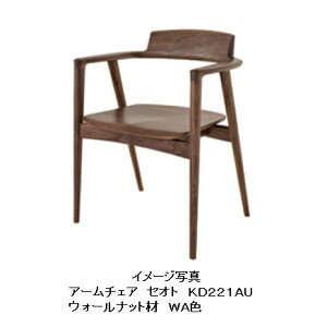 yJݒu/p[gi[Vbvz10NۏؔˎYƐ A[`FA  SEOTO(ZIg)KD221AUށFEH[ibgރ|E^h󒍐Y [30`45Jݒu 