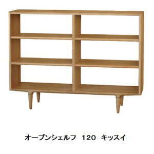 N؍H I[vVFt LbXC120zCgI[NCJݒu(EkCE͌ς)