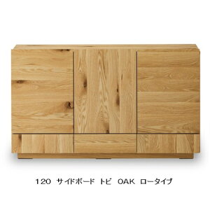 yJݒuzjb|lA(NIPPONAIRE)120TCh{[h gr2FΉ(I[N/EH[ibg˔)oFtI[v[tAˍލF[^nC^CvJݒukCA