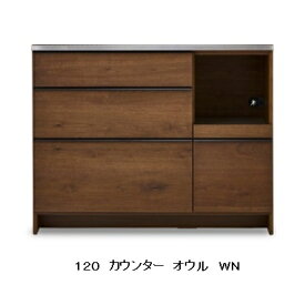 【開梱設置送料無料】 ※レビュー特典あり※ ニッポネア(NIPPONAIRE)120カウンター オウル2 2色対応(OAK/WN)オイル塗装開梱設置送料無料北海道、沖縄、離島は別途お見積り