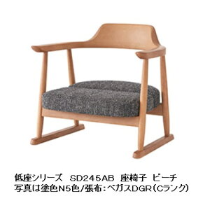 yz10Nۏ ˎYƐ ֎q(M[^Cv)SD245AB 24cmށFr[`ރ|E^h[`FA󒍐Y [30`45(֓n) kCEE