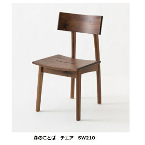 yJݒuz10Nۏ ˎYƐ`FA()X̂Ƃ SW210ށFEHibg(ߓ)|E^h󒍐Y [30`45JݒukCEE͏