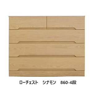 lƋ@Y 860-4i`FXg@Vi \ʍށFbhI[NސcޕF(Y)E^hFKJݒu(kCEE͌ς)