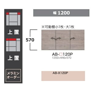 쐻쏊 120u BALLETTA(ob^)AB-120PO{FFVr|AbVF(A)ʒFF2FΉ~I[_[60FΉF570mm[5`6Tԑ(֑Oz)EkCE͏