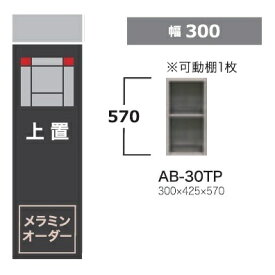 綾野製作所 30上置 BALLETTA(バレッタ)AB-30TP オープンタイプ高さ570mm納期5〜6週間送料無料(玄関前配送)沖縄・北海道・離島は除く