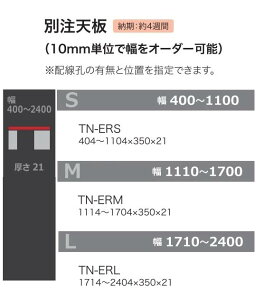 쐻쏊 ʒV ALICIA(AVA)TN-ERS/TN-ERM/TN-ERL2FΉ400`2400mmΉ[4Tԑ(֑Oz)EkCE͏