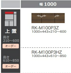 쐻쏊100Lb`puALICIA(AVA)RK-M100P3HZ{́FThubN OFEH[ibg610`850mm[5Tԑ(֑Oz)EkCE͏