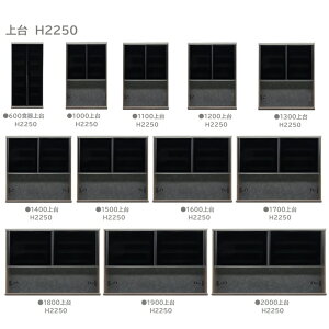 Y쐻 1000WD H2250 AgX11TCYΉsF490/450mm{́F4FWJJE^[J[5FΉtFU[[XCb`I[vfAN[U[̗p󒍐Y Jݒu