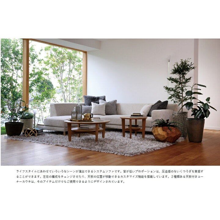 楽天市場】【開梱設置送料無料】国産品 マルイチセーリングFLUTTO 