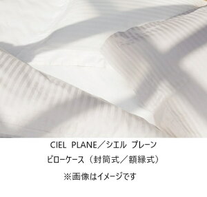 yz{xbhs[P[X(/z)CIEL PLANE(VGv[)J[FItzCg(֑Oz)kCEE͏