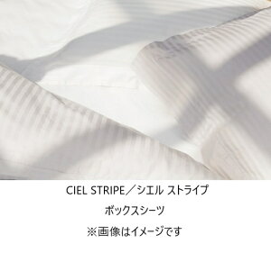 �y���������z���{�x�b�h�{�b�N�X�V�[�cCIEL STRIPE(�V�G���X�g���C�v)�J���[�F2�F�Ή�(�I�t�z���C�g/�p�[���O���[)�T�C�Y�F7�T�C�Y�Ή�(S/SD/D/CQ/K/Q2/SS)��������(���֑O�z��)�k�C���E����E����
