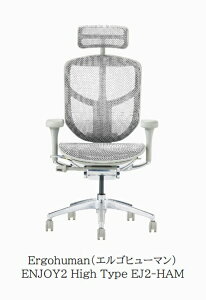 ygzEY`FA}bgTLEgĖzTLEv݌ɊmFzItBX`FA GSq[} GWC2 nC^CvErgohuman ENJOY2 High TypeEJ2-HAM HighTypeJݒu