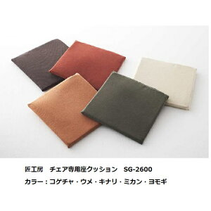 yzVJH[p NbVSG-2600IK(z)5FΉ󒍐Y [5`8Tԑ(֑Oz)kCEE͏