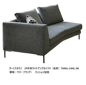ソファ 姿勢 クッション」の人気商品一覧・価格比較 - 価格.com
